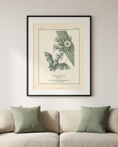 Botanical plate of saguaro cactus in bloom with a lesser long-nosed bat feeding, framed above a linen sofa in a living room. Room scene rendered; frame and decor not included.